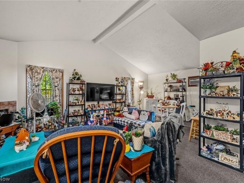 1020 Hamlin Drive, Ashtabula, OH 44004 Photo 17