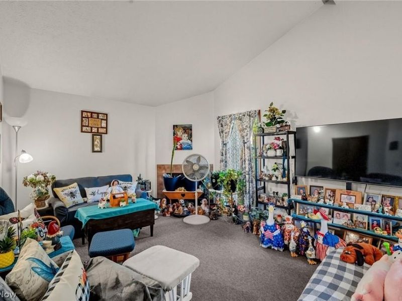 1020 Hamlin Drive, Ashtabula, OH 44004 Photo 18
