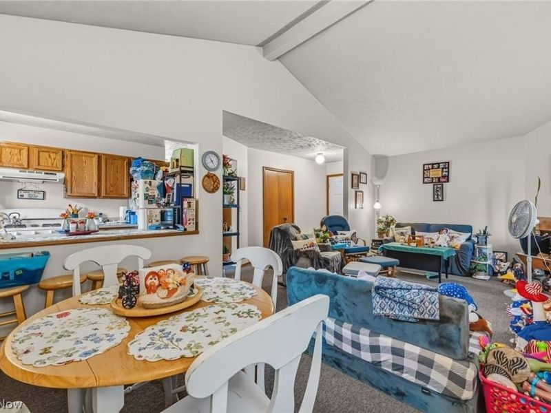 1020 Hamlin Drive, Ashtabula, OH 44004 Photo 22