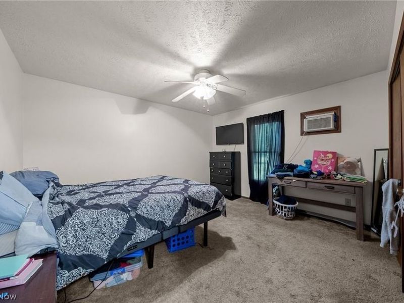 1020 Hamlin Drive, Ashtabula, OH 44004 Photo 39