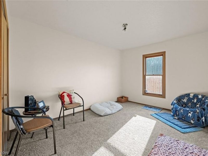 1020 Hamlin Drive, Ashtabula, OH 44004 Photo 48