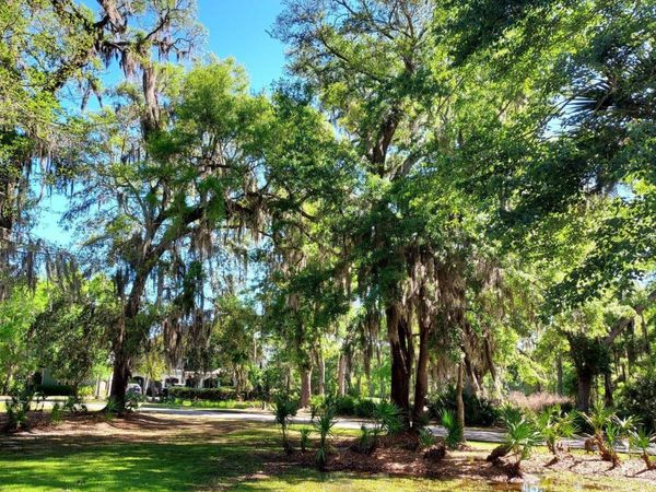 Lot 21a Preserve Trail , Waverly, GA 31565