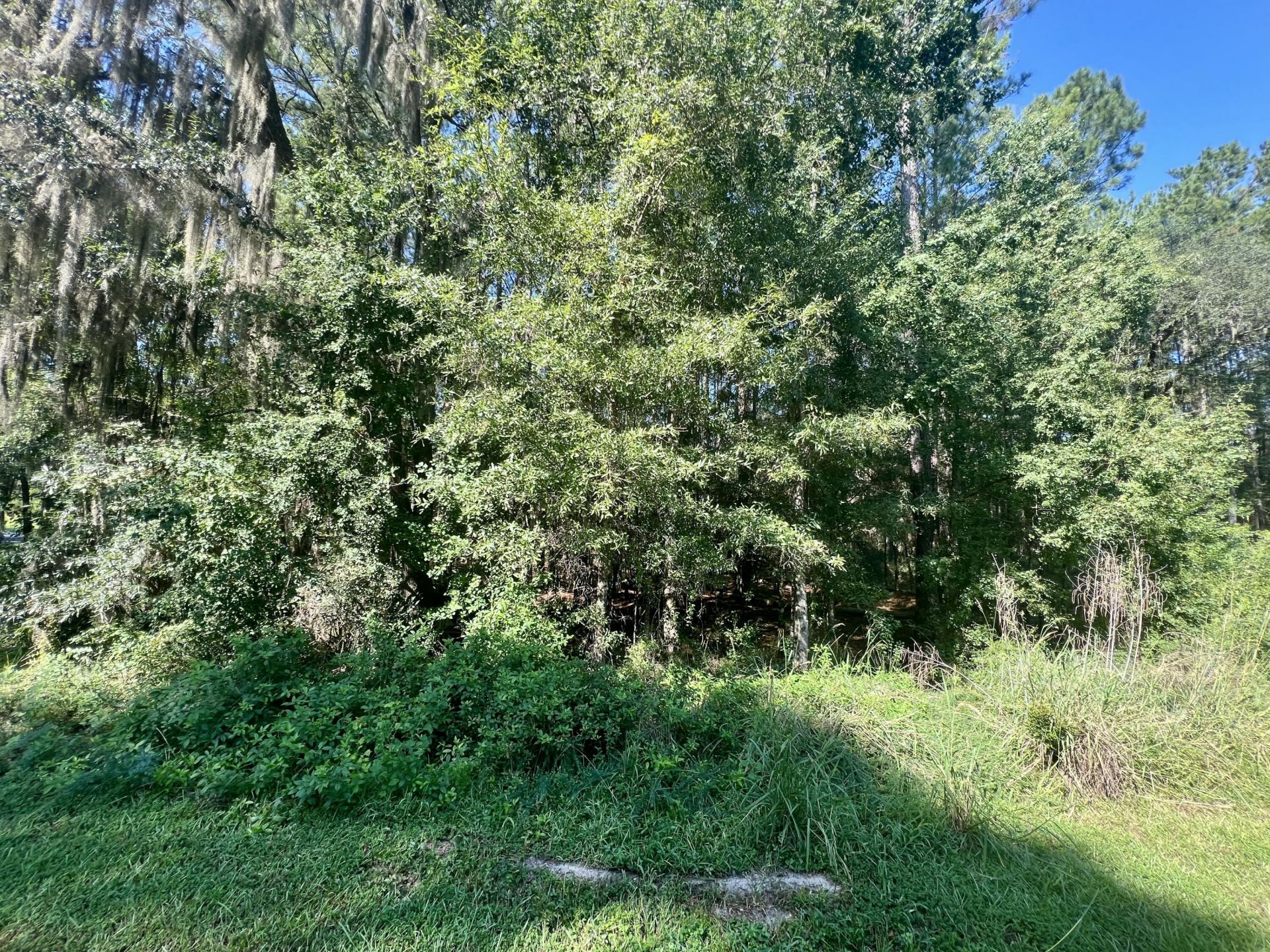 511 Chicora Lane Photo 12