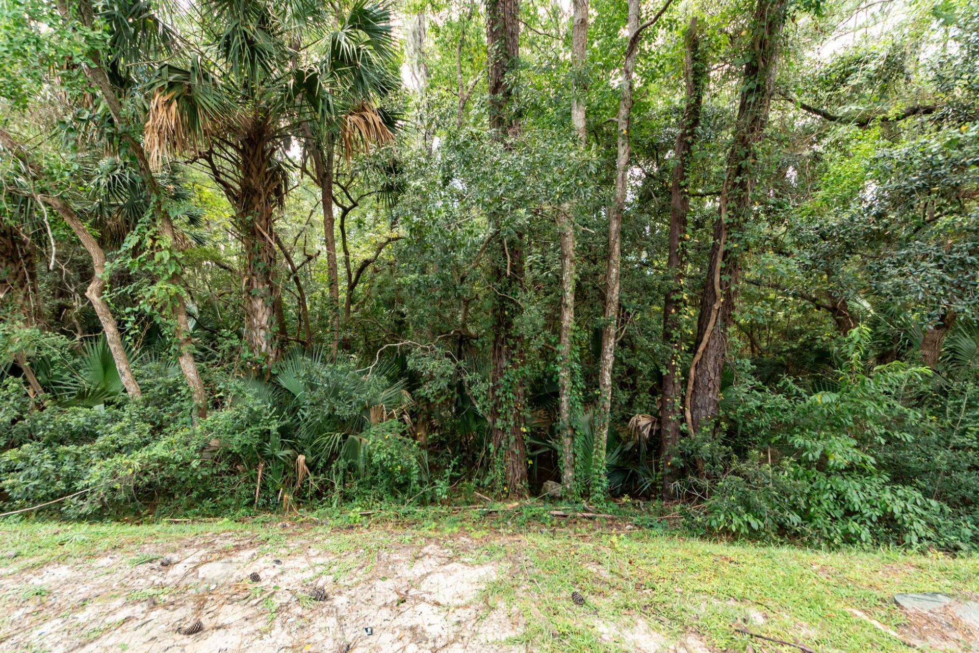 359 Kelsey Boulevard Photo 21