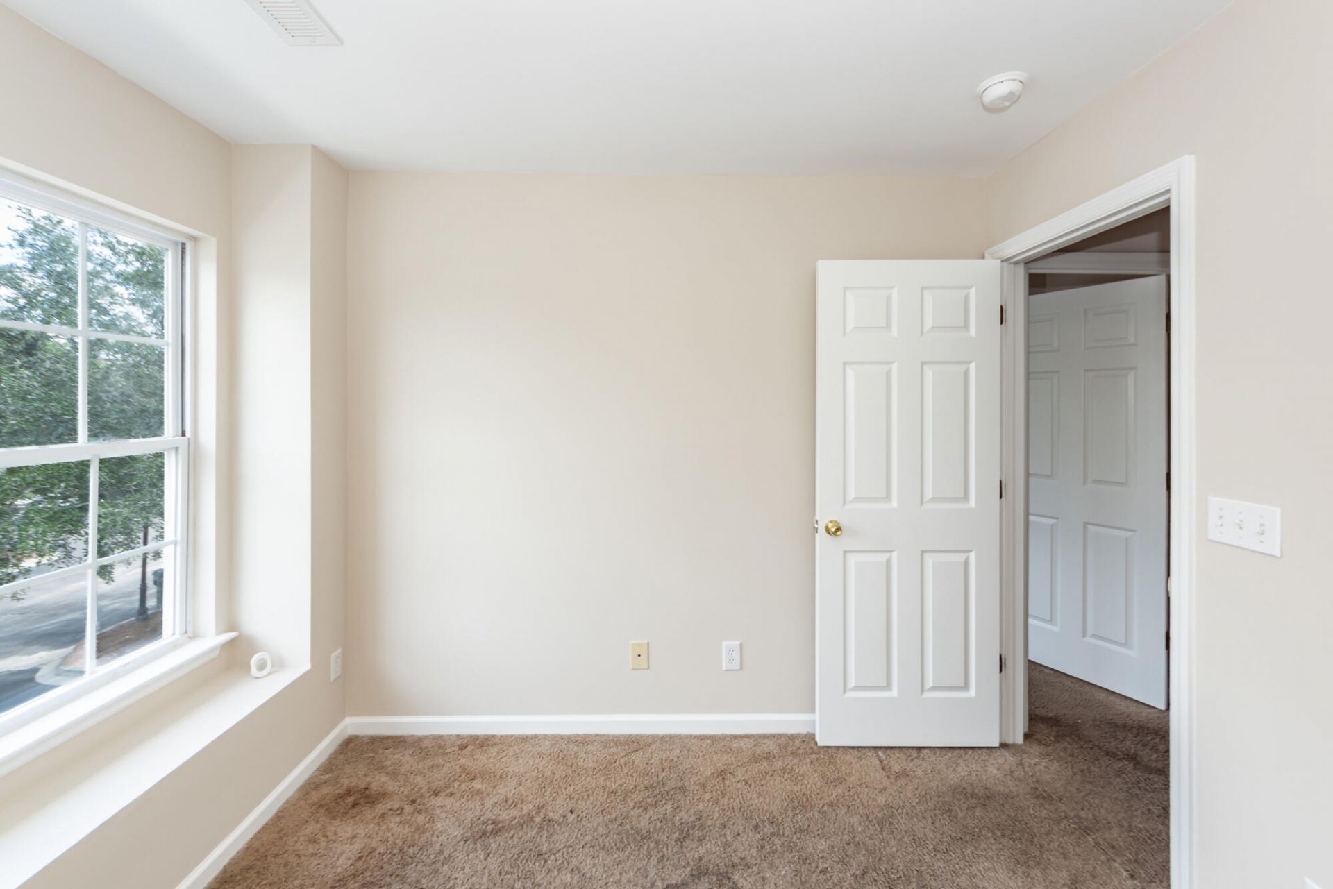 359 Kelsey Boulevard Photo 35