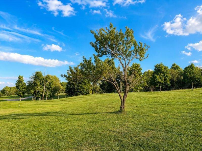 3633 County Road 55 , Bellefontaine, OH 43311 Photo 63