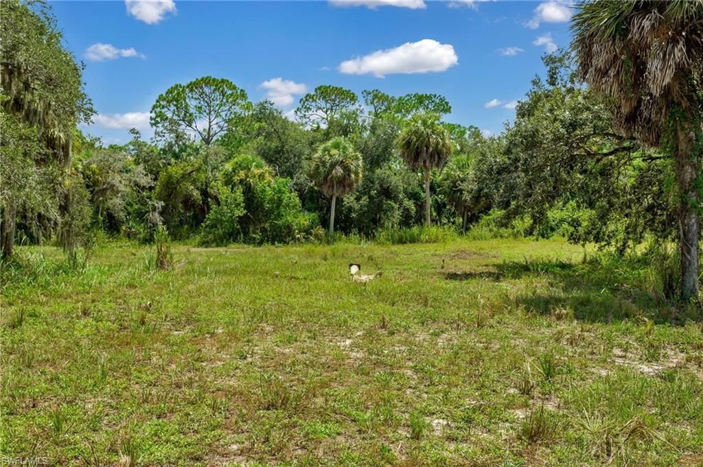 27575 Imperial Pkwy, Bonita Springs, FL 34135 Photo
