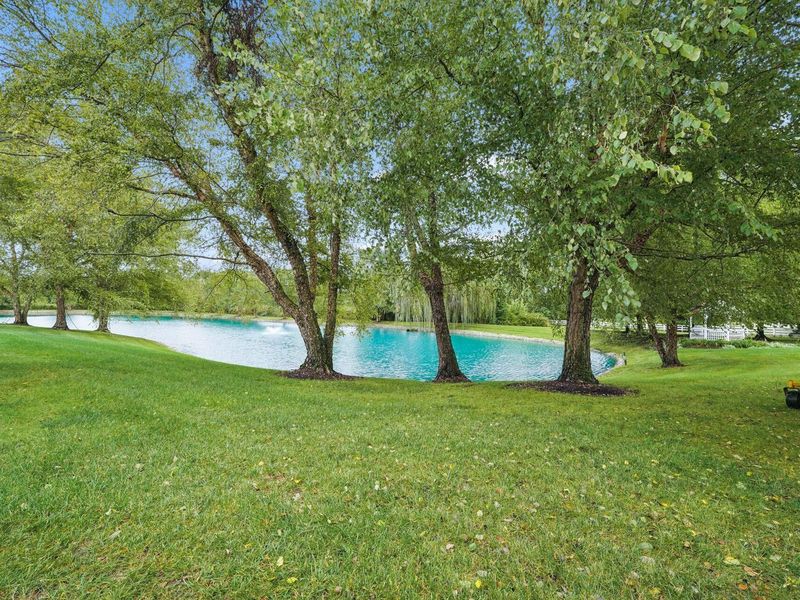 6084 Murphys Pond Road, Canal Winchester, OH 43110 Photo 17
