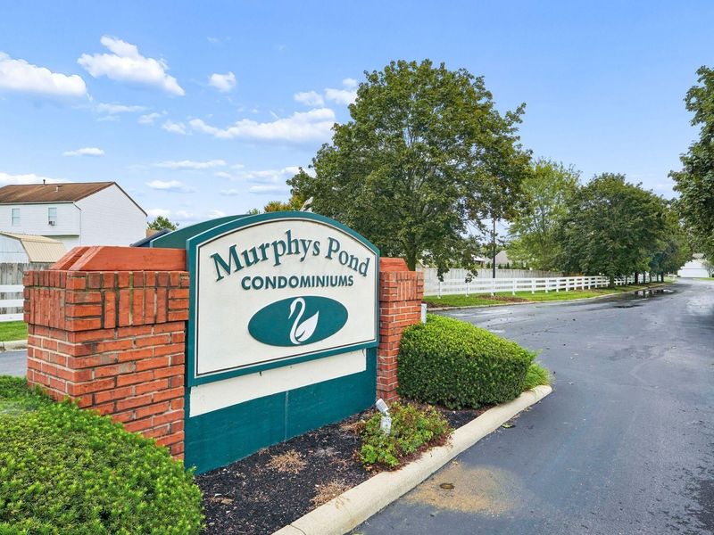 6084 Murphys Pond Road, Canal Winchester, OH 43110 Photo 26