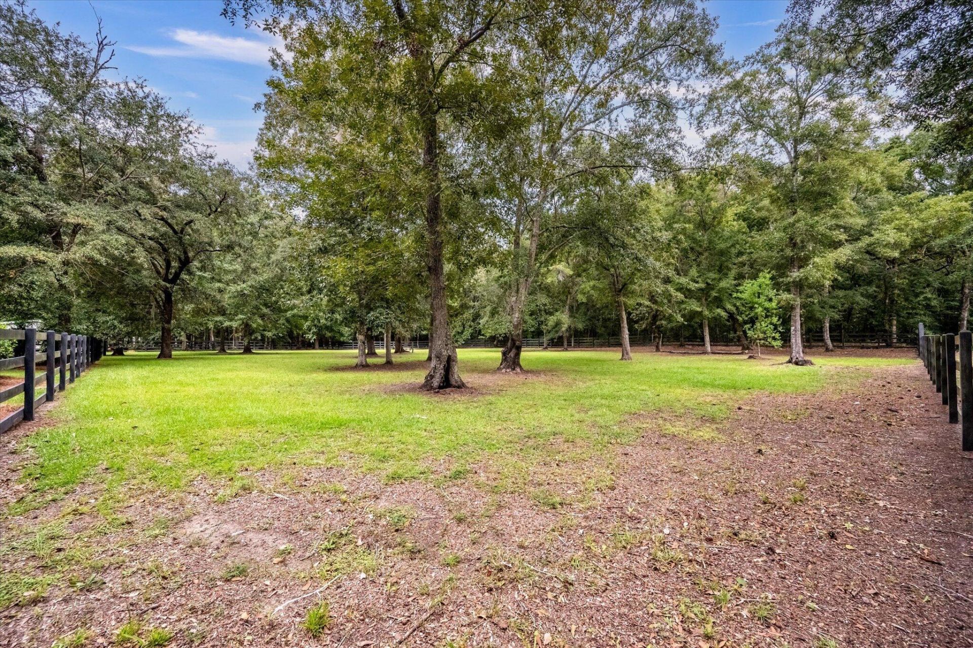 3437 Thunder Gulch Trail Photo 110