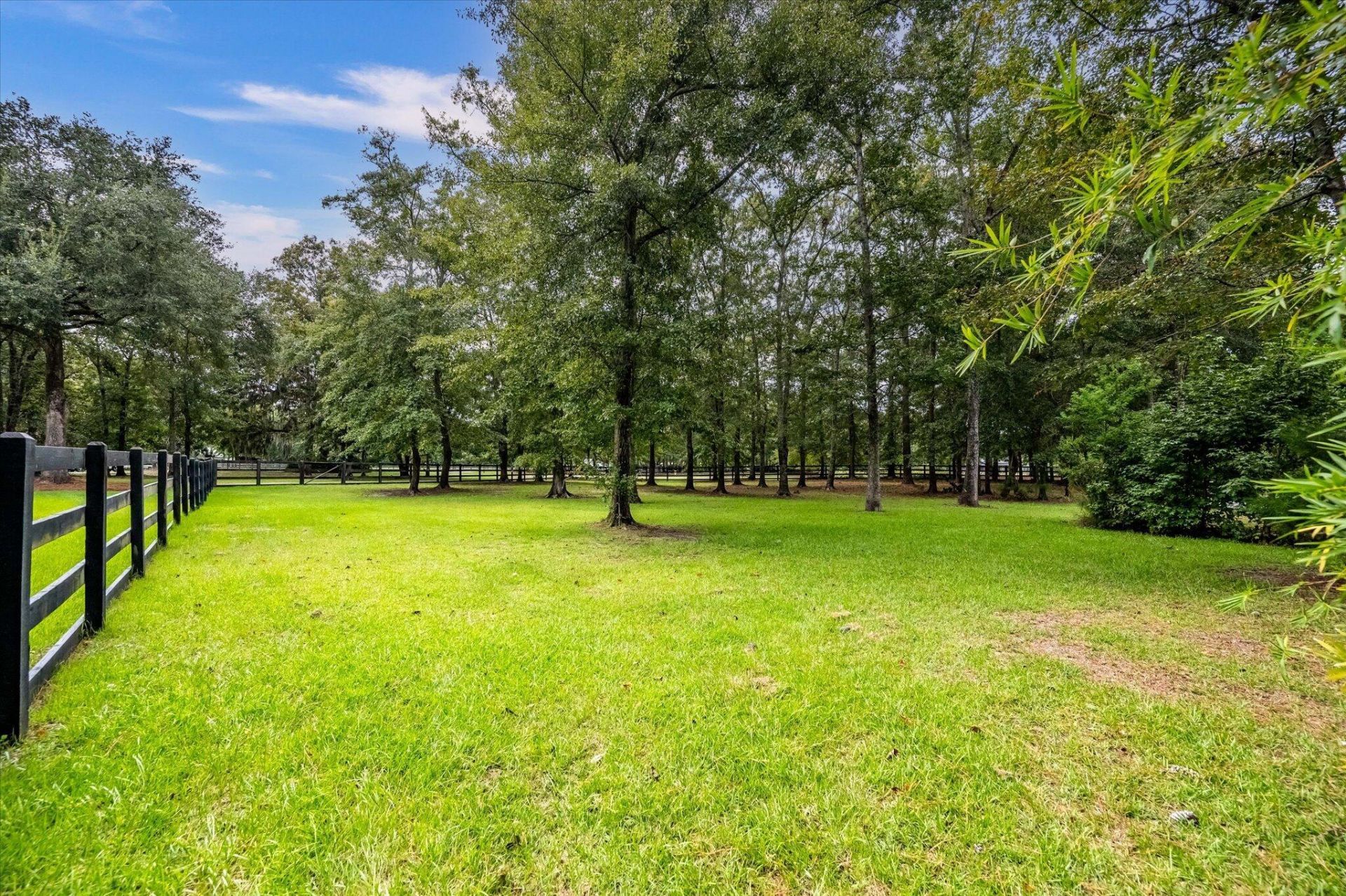 3437 Thunder Gulch Trail Photo 95