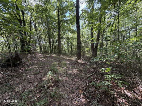 3.61 ac Long View Lane, Jamestown, TN 38556