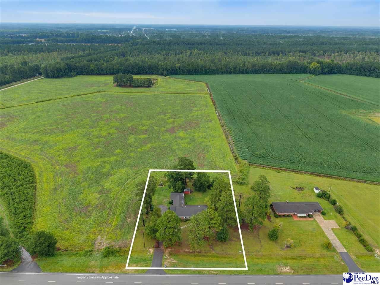 167 E Hwy 378 Photo 25