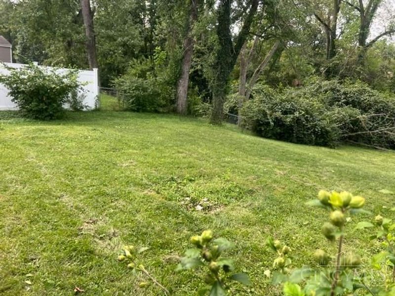 10959 Thornview Drive, Sharonville, OH 45241 Photo 22