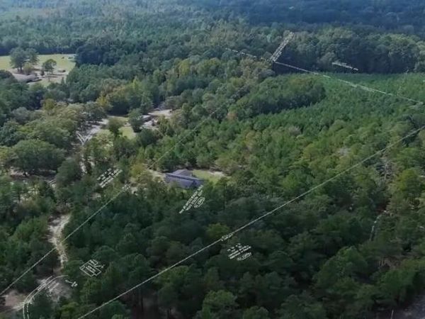 16369 Palmer Road, Marston, NC 28363