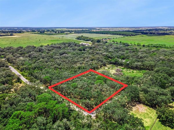 17206 RED BIRD ROAD , WINTER GARDEN, FL 34787