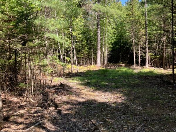 0 Spring Brook Drive , Lincolnville, ME 04849