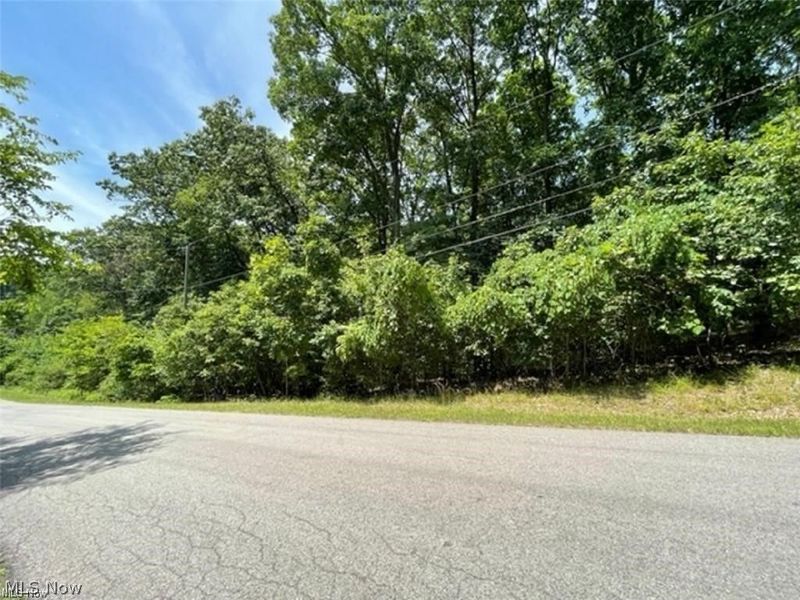 47080 Tomahawk Drive, Negley, OH 44441 Photo 6