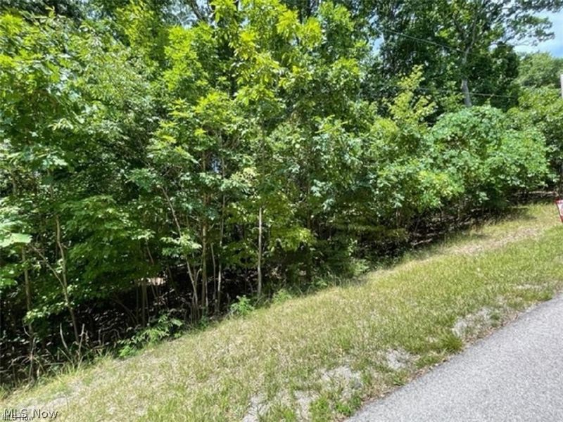 47080 Tomahawk Drive, Negley, OH 44441 Photo 8