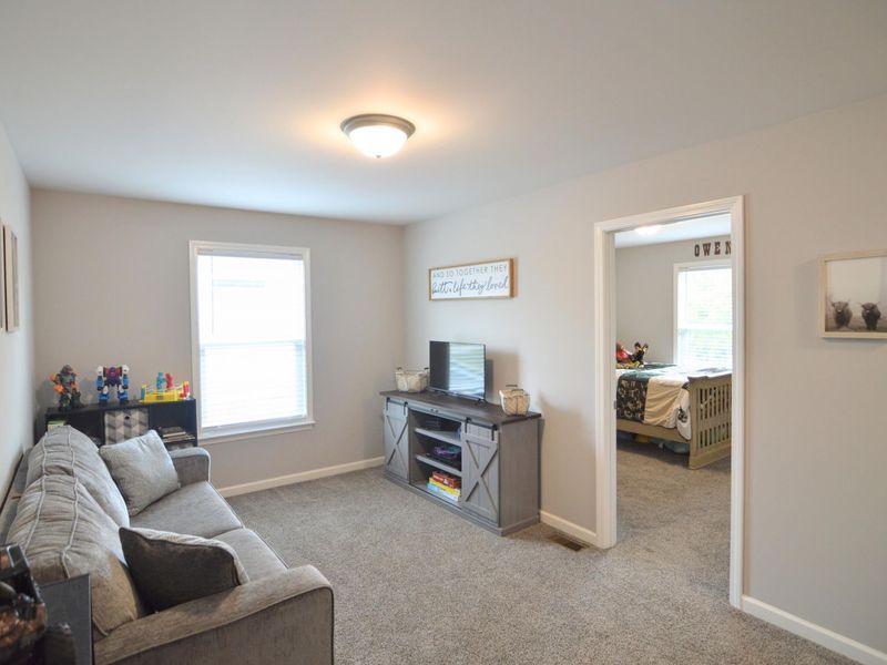 3071 Alderbrook Drive, Independence, KY 41051 Photo 23