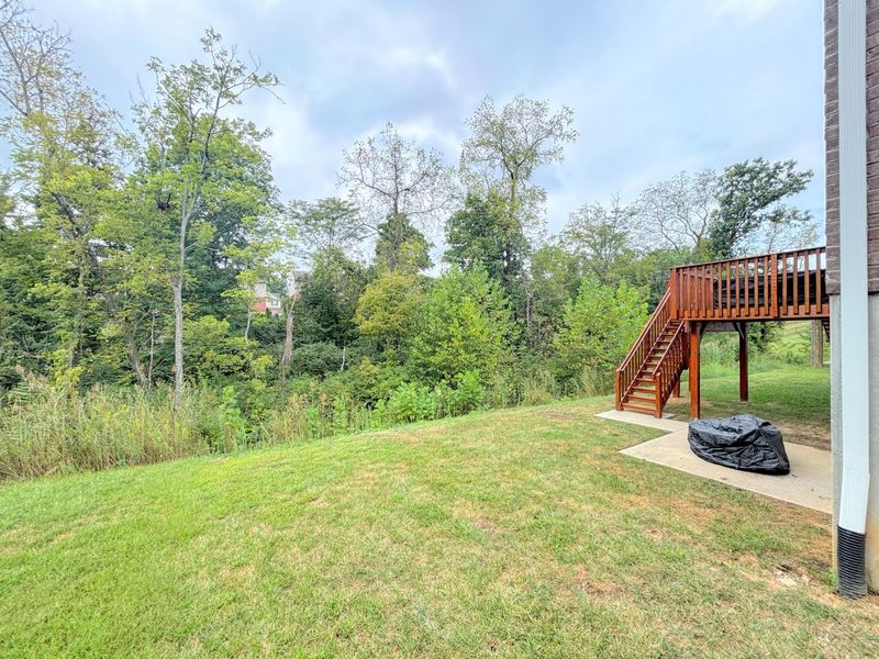3071 Alderbrook Drive, Independence, KY 41051 Photo 46