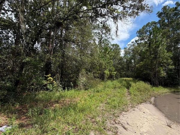 1746 COUNTRY WOODS DRIVE , LAKELAND, FL 33809