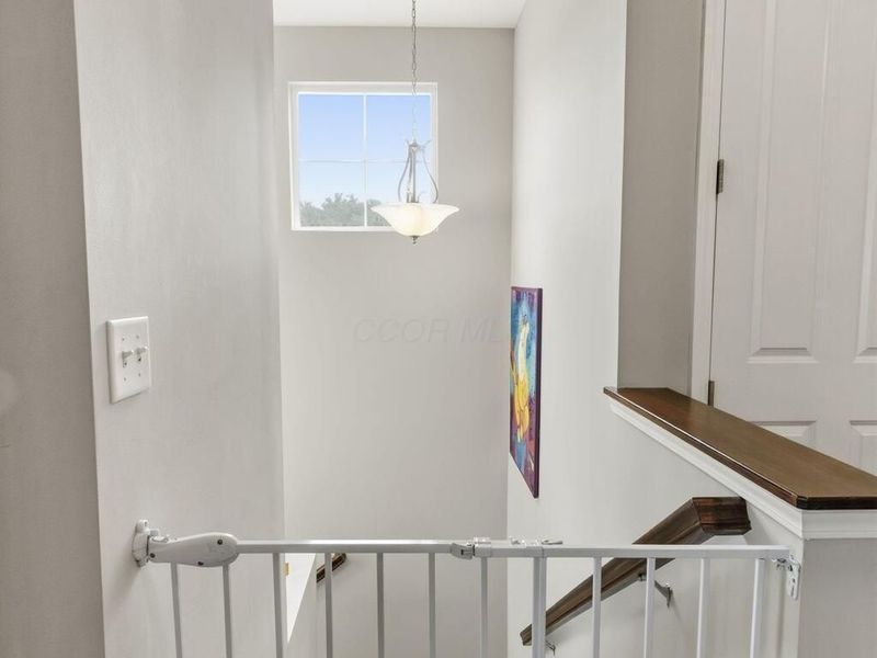 3741 Birkland Circle, Lewis Center, OH 43035 Photo 9