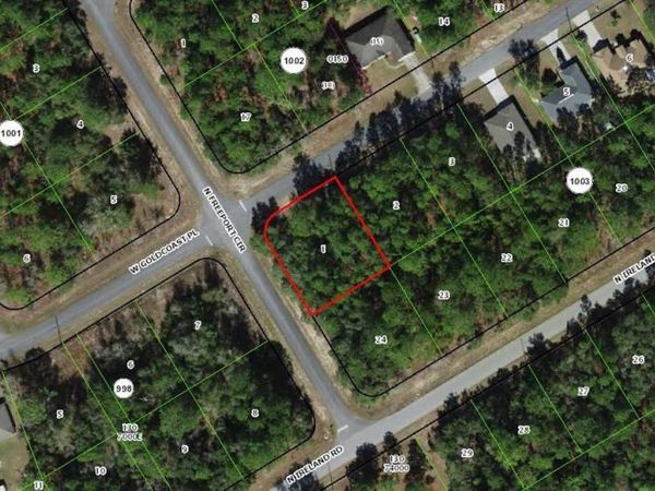 156 W GOLDCOAST PLACE , CITRUS SPRINGS, FL 34434