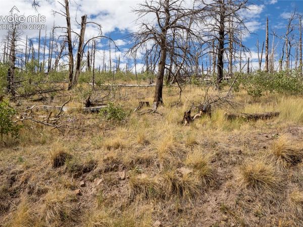 Lot 2748 Grojean Drive, Fort Garland, CO 81133