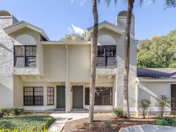 5100 BURCHETTE ROAD , Unit 4102, TAMPA, FL 33647