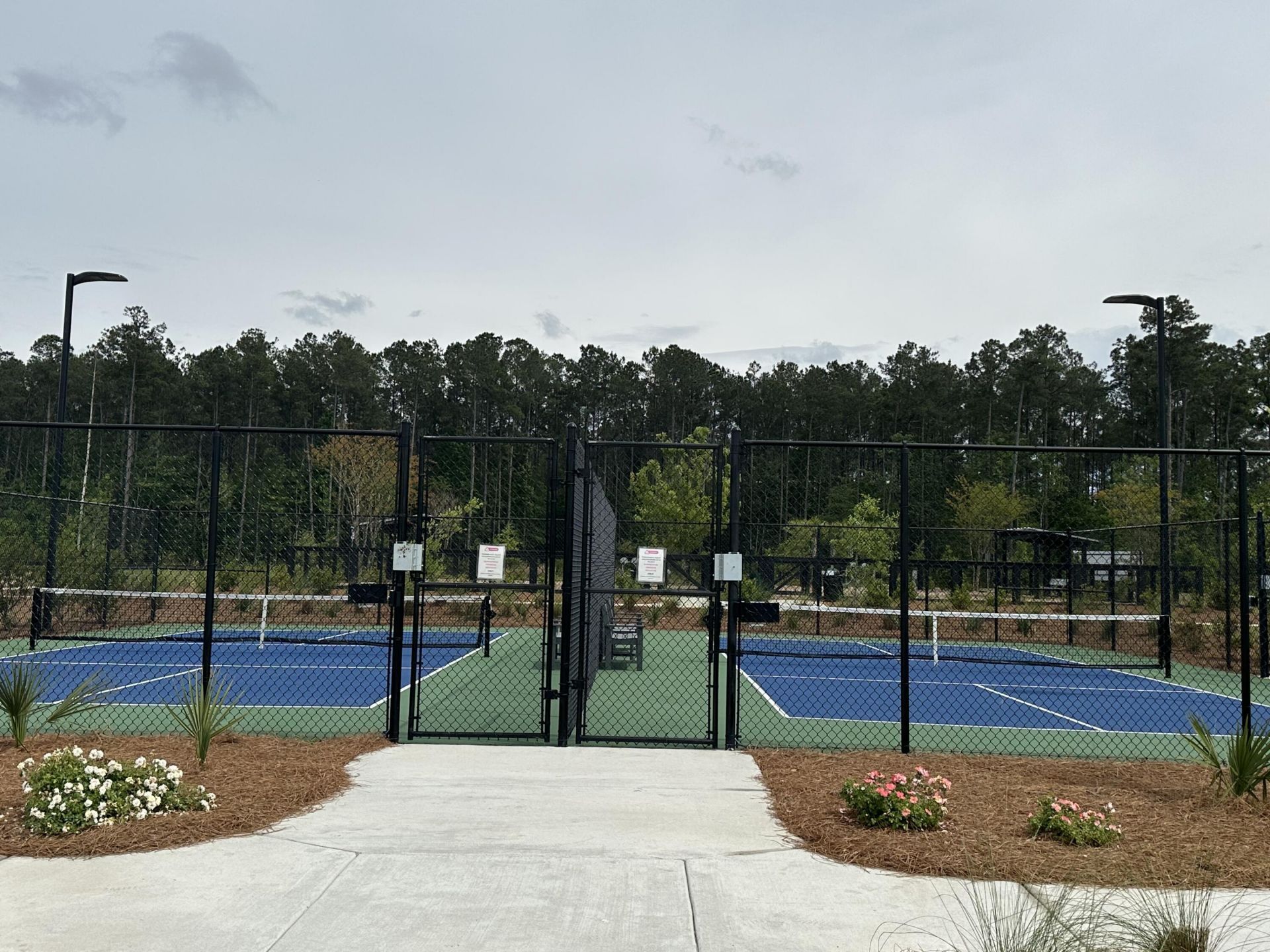 156 Summerwind Drive Photo 79