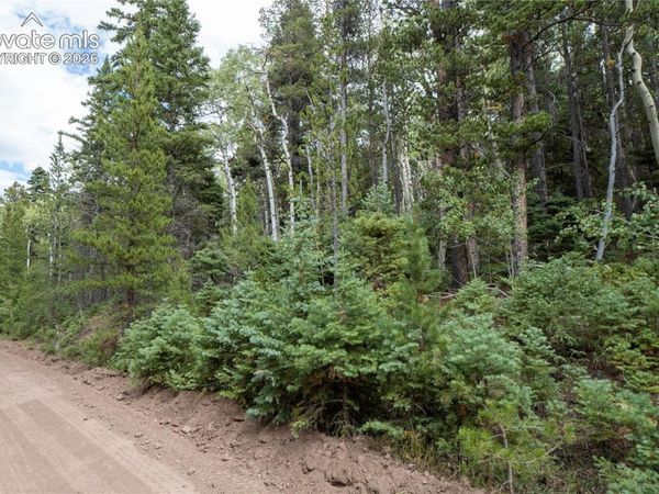 Lot 2238 Buonaventura Lane, Fort Garland, CO 81133
