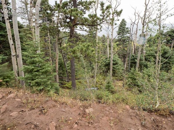 Lot 2825 Moir Drive, Fort Garland, CO 81133