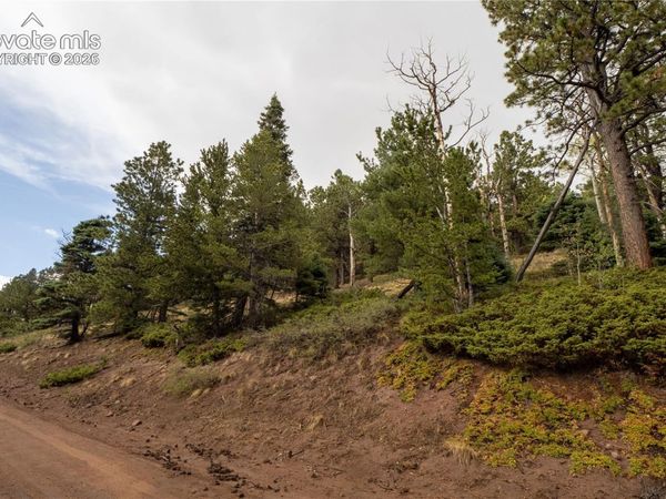 Lot 2797 Moir Drive, Fort Garland, CO 81133
