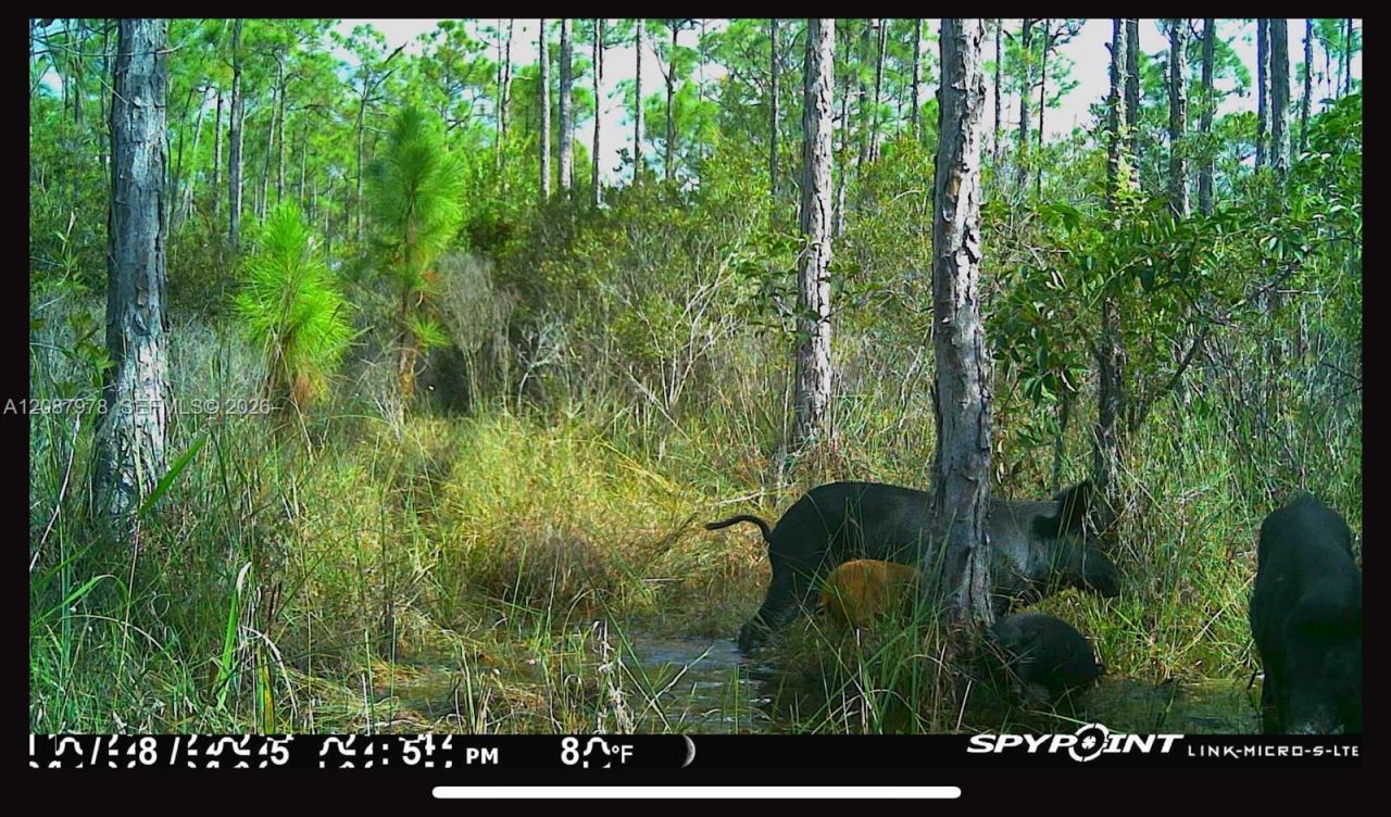 0000 Unassigned , Indiantown, FL 34956 Photo