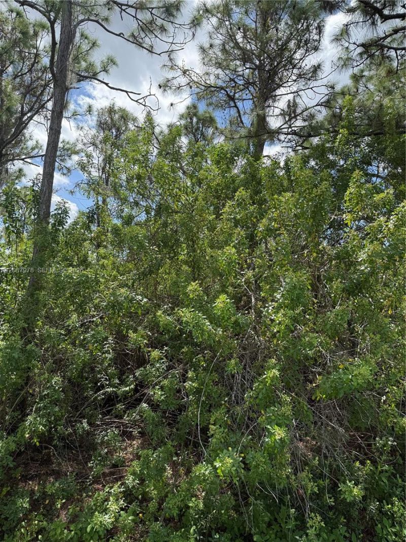 0000 Unassigned , Indiantown, FL 34956 Photo