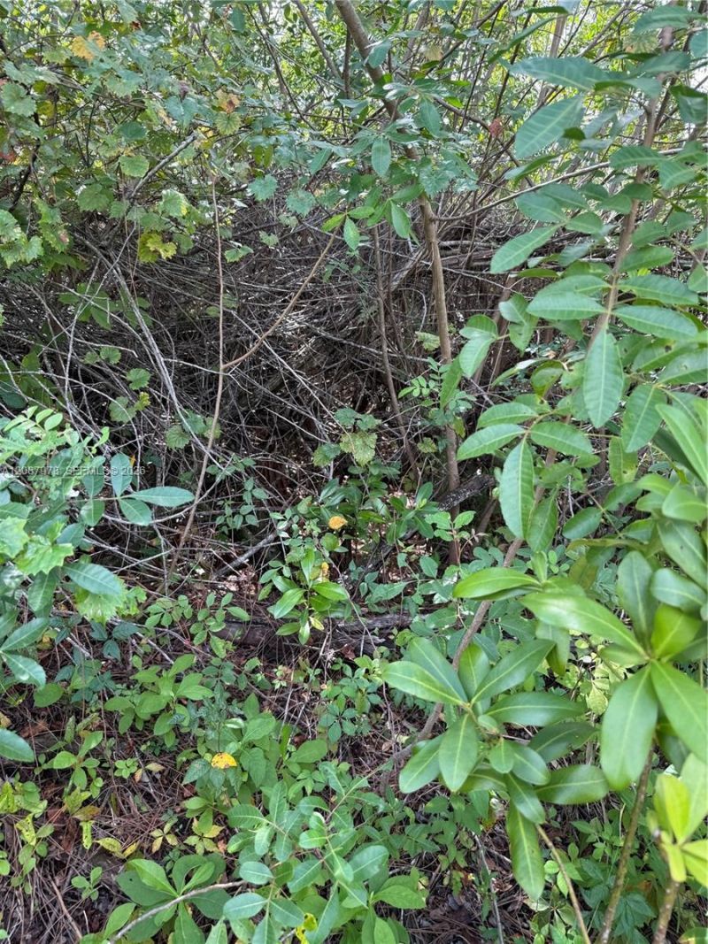 0000 Unassigned , Indiantown, FL 34956 Photo