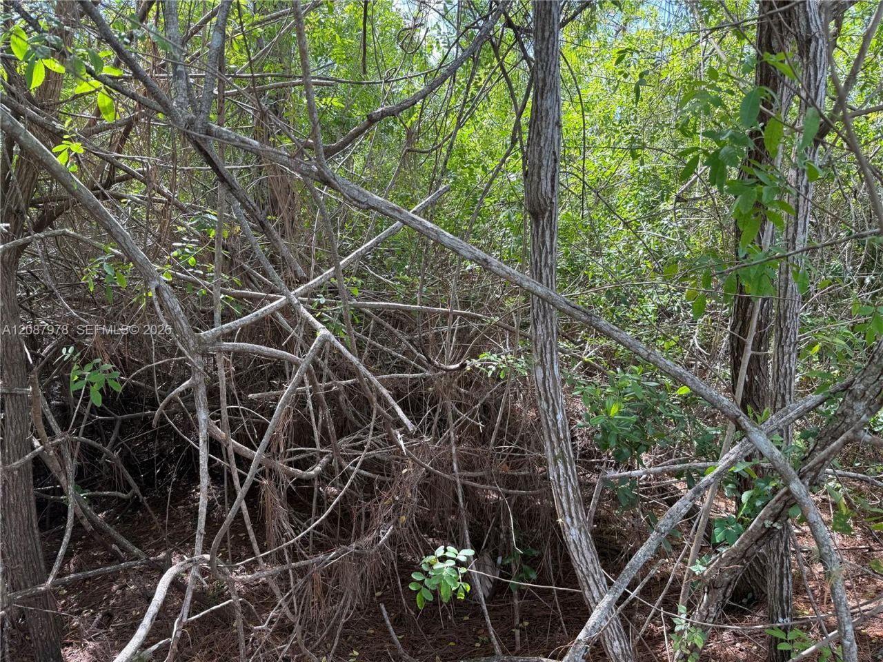 0000 Unassigned , Indiantown, FL 34956 Photo