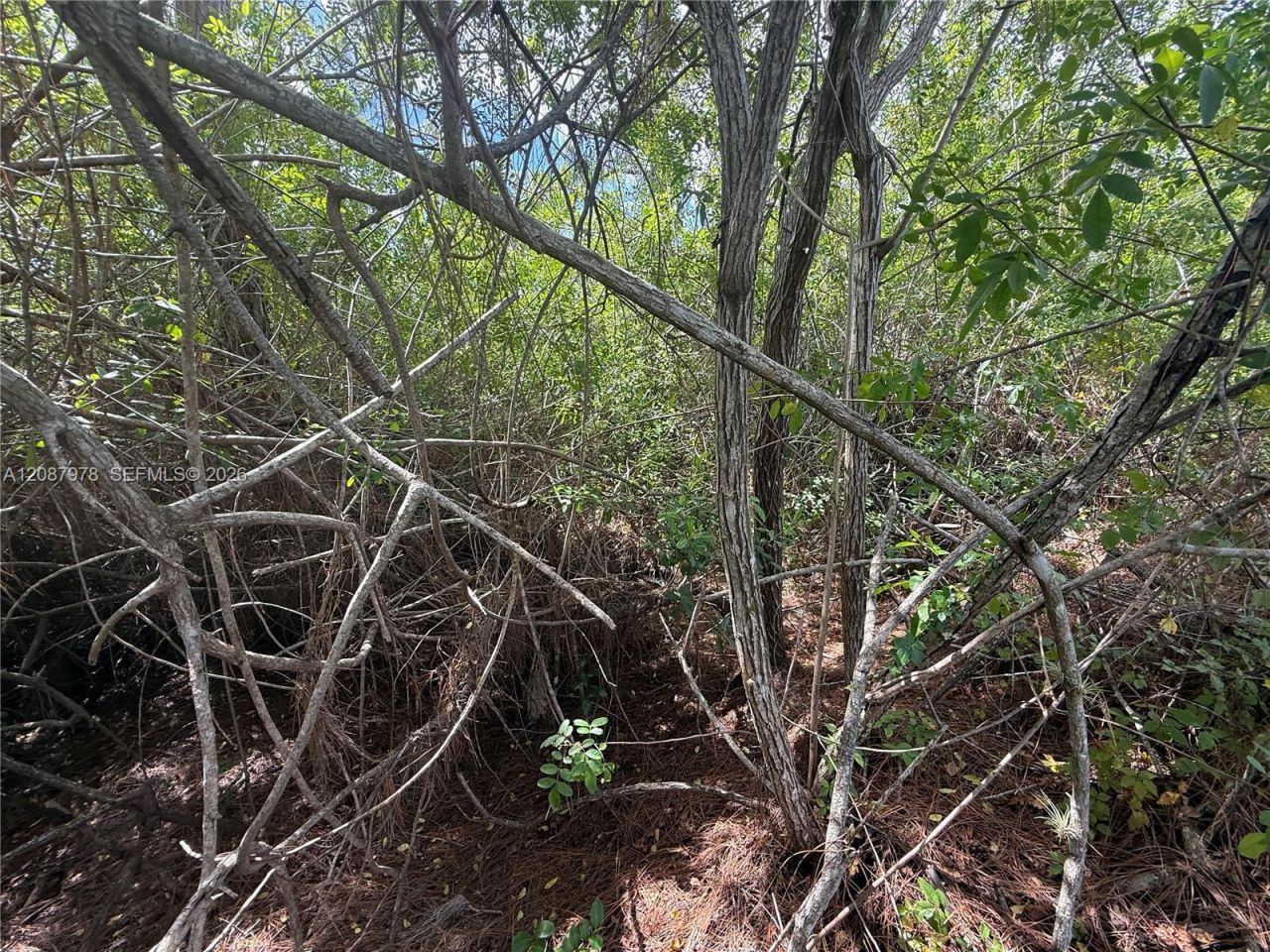 0000 Unassigned , Indiantown, FL 34956 Photo