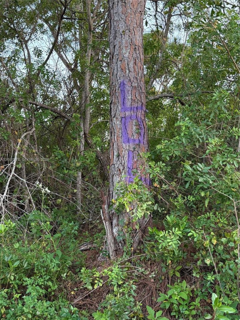 0000 Unassigned , Indiantown, FL 34956 Photo