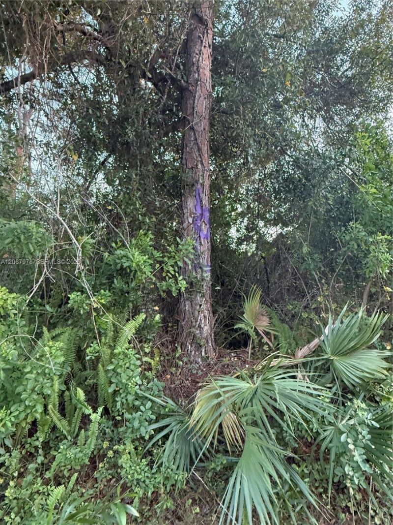 0000 Unassigned , Indiantown, FL 34956 Photo