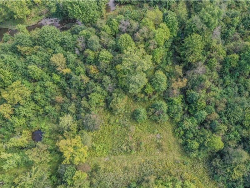 VL Risher Road, Warren, OH 44481 Photo 3