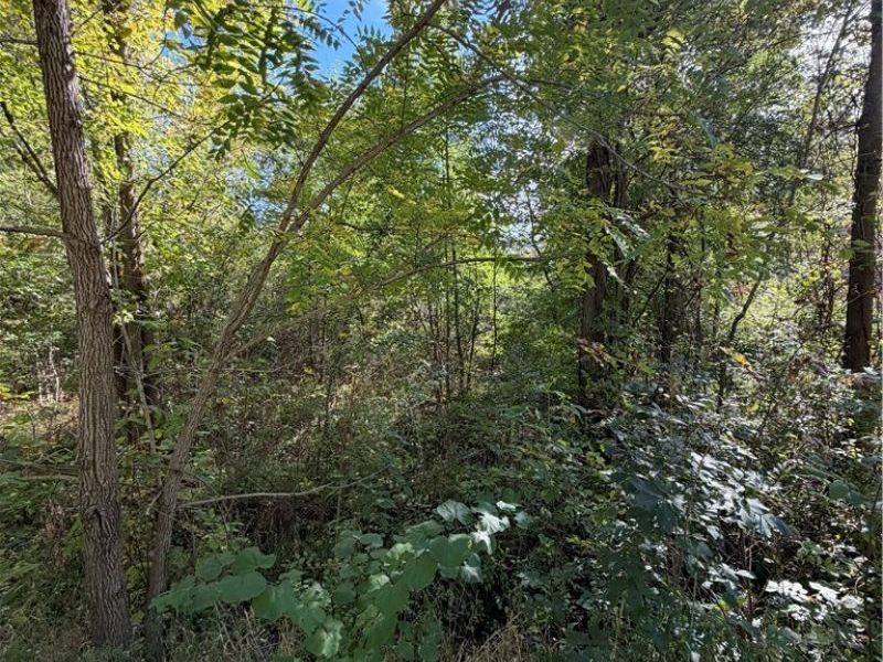 VL Risher Road, Warren, OH 44481 Photo 7