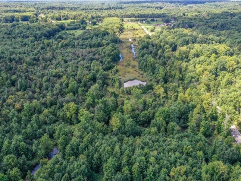 VL Risher Road, Warren, OH 44481 Photo 9