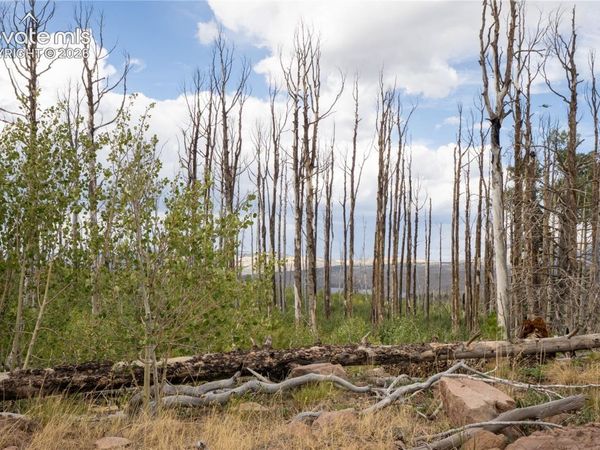 Lot 1947 Hilda Lane, Fort Garland, CO 81133