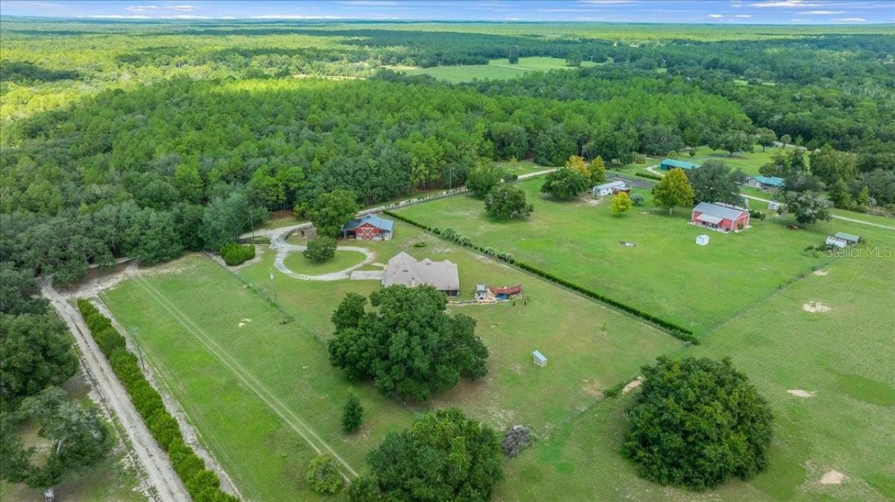 3351 SE 164th Terrace, Ocklawaha, FL 32179 Photo