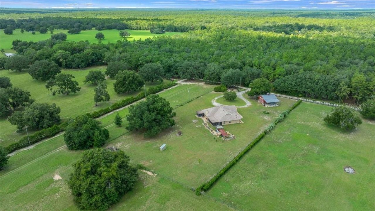 3351 SE 164th Terrace, Ocklawaha, FL 32179 Photo