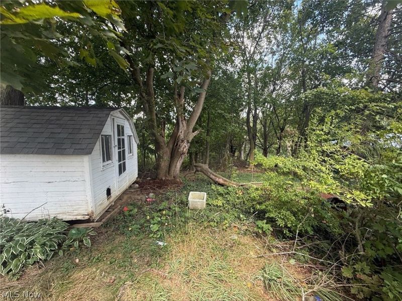 129 Jackson Road , Creston, OH 44217 Photo 6