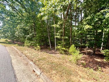 0 Lot 36 Island Pointe Lane, Moneta, VA 24121
