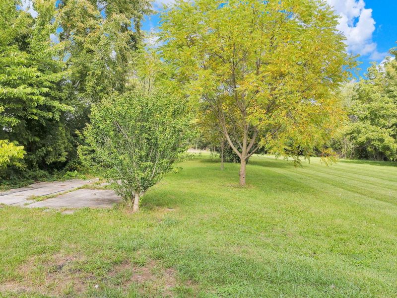 10 Fent Street, Jeffersonville, OH 43128 Photo 16